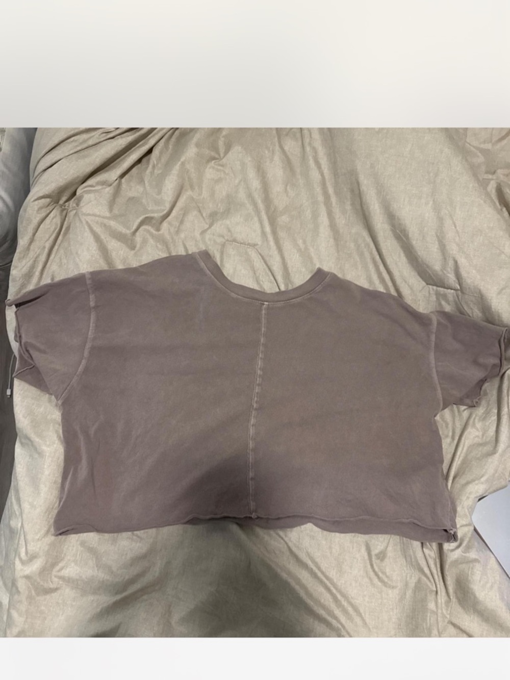 Forever 21 Washed Taupe Crop Tee